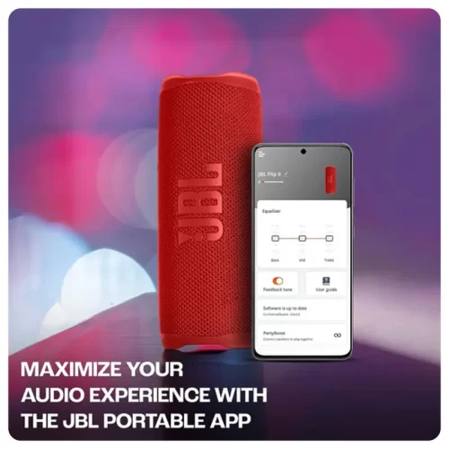JBL-Flip-6-Speaker-Info